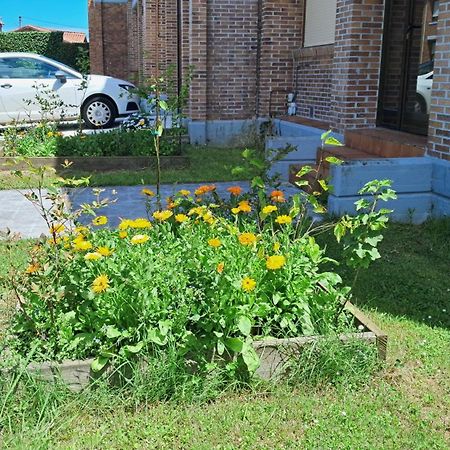 Casa Grande Con Jardin Vila Santa Cruz De Bezana Exterior foto